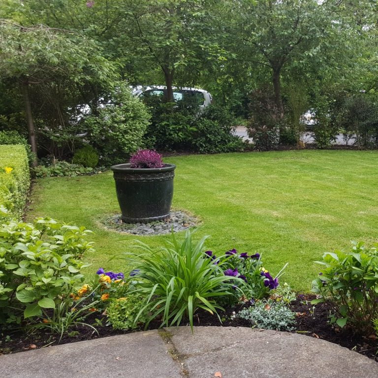 A tidy garden after a visit from gardeners in Warrington Cheshire